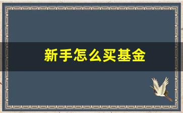 新手怎么买基金(新手怎么买基金定投)_https://www.gzyhshgzzx.com_上期所_第1张