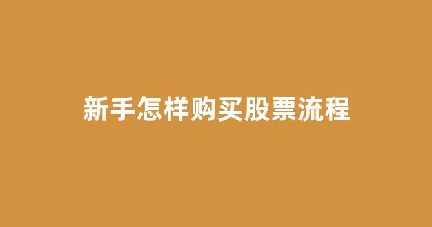 新手怎样购买股票流程(新手如何购买股票百度经验)_https://www.dongshengweixin.com_上交所_第1张