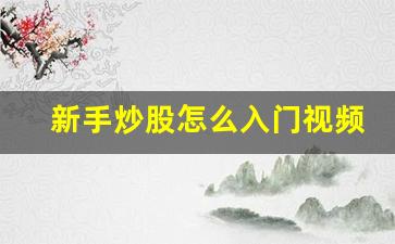 新手炒股怎么入门视频(新手炒股步骤视频教程)_https://www.gzyhshgzzx.com_大商所_第1张