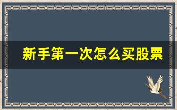 新手第一次怎么买股票(新手第一次怎么买股票视频)_https://www.syklpowerbike.com_深交所_第1张