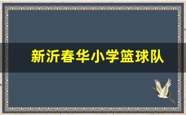 新沂春华小学篮球队-新沂市新安小学篮球队
