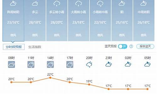 新洲天气15天天气预报今_新洲天气15天天气预报