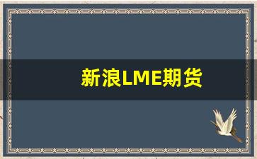 新浪LME期货(伦铜lme期货(cad))_https://www.fzdzcxj.com_科创板_第1张