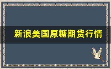新浪美国原糖期货行情(美国原糖实时走势)_https://www.tuogunzhijia.com_内盘期货_第1张