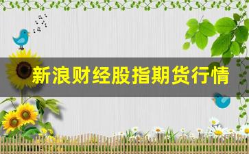 新浪财经股指期货行情(新浪财经股指期货行情走势图)_https://www.tuogunzhijia.com_黄金期货_第1张