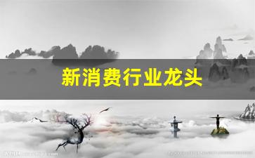 新消费行业龙头(新消费行业龙头股票)_https://www.hbxfywj.com_证券知识_第1张