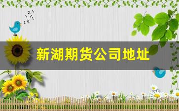 新湖期货公司地址(新湖期货上市最新进展)_https://www.gfdzclz.com_创业板_第1张