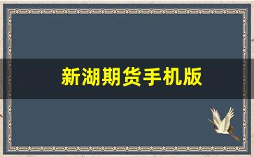 新湖期货手机版(新湖期货)_https://www.dcjwmf.com_中金所_第1张