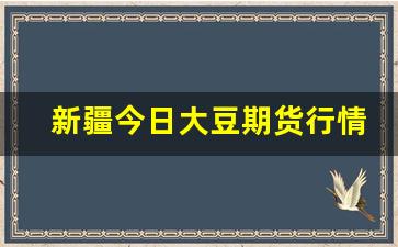新疆今日大豆期货行情走势(新疆大豆多少钱一公斤)_https://www.gfdzclz.com_创业板_第1张