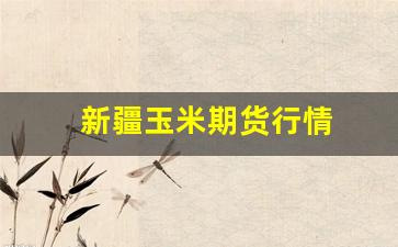 新疆玉米期货行情(新疆玉米行情预测)_https://www.tuogunzhijia.com_内盘期货_第1张