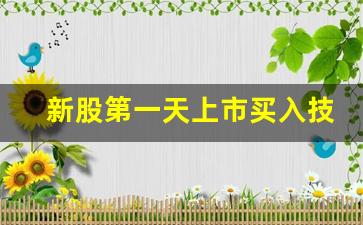 新股第一天上市买入技巧(新股前5天交易规则)_https://www.wanyuyiyao.com_深交所_第1张