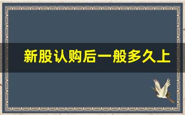 新股认购后一般多久上市(新股认购后多久上市交易)_https://www.shshucaipeisong.com_创业板_第1张