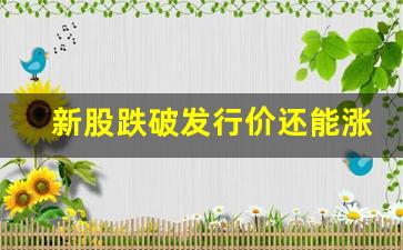 新股跌破发行价还能涨回去吗(新股跌破发行价会退市吗)_https://www.brunchezvous.com_旅游景点_第1张