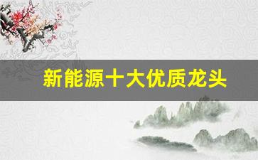 新能源十大优质龙头(新能源十大优质龙头最好的公司)_https://www.qldgs.com_期货_第1张