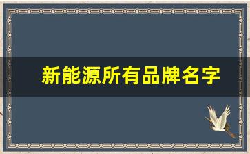 新能源所有品牌名字(新能源所有品牌名字图片)_https://www.qldgs.com_内盘期货_第1张