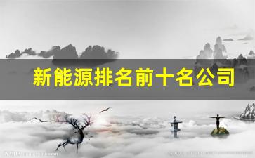 新能源排名前十名公司(新能源车排名前十名车标)_https://www.hangfeite.com_创业板_第1张