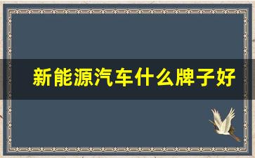 新能源汽车什么牌子好(新能源汽车什么牌子好质量好)_https://www.qldgs.com_内盘期货_第1张
