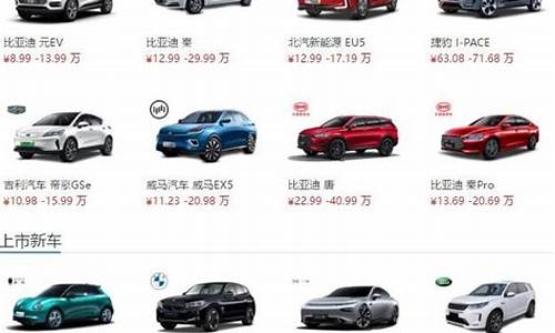 3万一10万新能源车,新能源汽车价格大全一览表2023