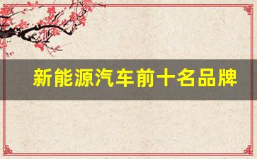 新能源汽车前十名品牌理想(新能源汽车排行榜前十名品牌)_https://www.gzyhshgzzx.com_上期所_第1张