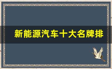 新能源汽车十大名牌排名(新能源汽车十大名牌排名及价格电车哪个牌子好)_https://www.gfdzclz.com_上交所_第1张