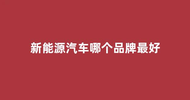 新能源汽车哪个品牌最好(新能源汽车哪个品牌最好用)_https://www.shshucaipeisong.com_创业板_第1张