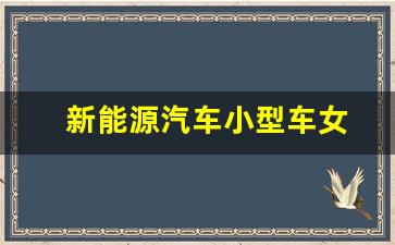 新能源汽车小型车女(新能源汽车小型车女越野)_https://www.jianghaiboli.com_黄金期货_第1张