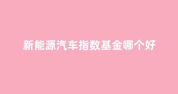 新能源汽车指数基金哪个好(新能源汽车价格大全)_https://www.eamstsz.com_上交所_第1张