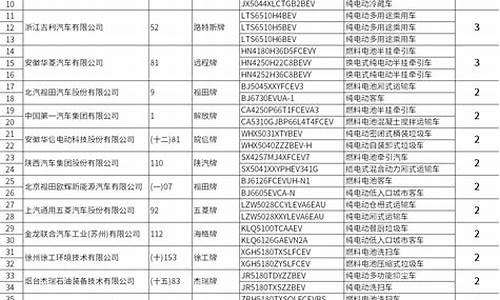 新能源汽车推广目录怎么写_新能源汽车推广目录