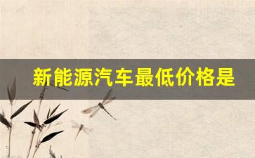 新能源汽车最低价格是多少钱一台(新能源汽车最便宜的多少钱)_https://www.syklpowerbike.com_深交所_第1张