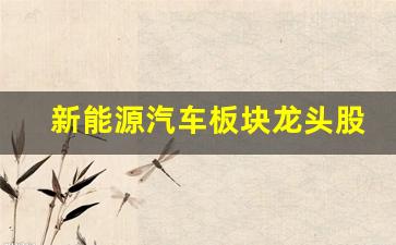新能源汽车板块龙头股一览表(新能源汽车板块龙头股一览表688800)_https://www.heiljjianzu.com_创业板_第1张