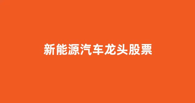 新能源汽车龙头股票(新能源汽车龙头股票一览表2021)_https://www.wanyuyiyao.com_创业板_第1张