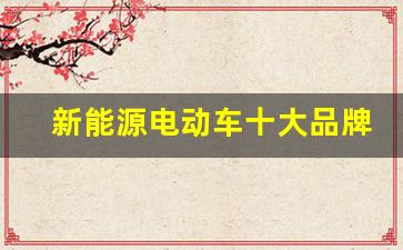 新能源电动车十大品牌(新能源电动车排名前十名)_https://www.haiwangdasha.com_郑商所_第1张