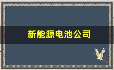 新能源电池公司(江苏盐城sk新能源电池公司)_https://www.heiljjianzu.com_创业板_第1张