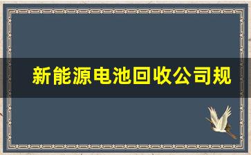 新能源电池回收公司规模多大(新能源车电池回收价格)_https://www.hangfeite.com_深交所_第1张