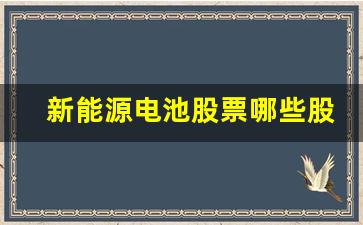 新能源电池股票哪些股票(新能源电池维修)_https://www.eamstsz.com_上交所_第1张
