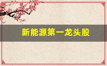 新能源第一龙头股(新能源行业龙头)_https://www.huakunhengjia.com_期货资讯_第1张