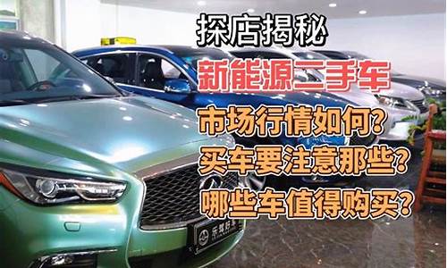 温州二手新能源二手车_新能源车温州二手车