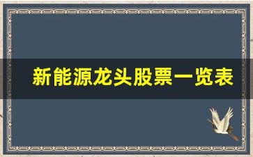 新能源龙头股票一览表2021(新能源龙头股票一览表2023年)_https://www.jumanxin.com_深交所_第1张