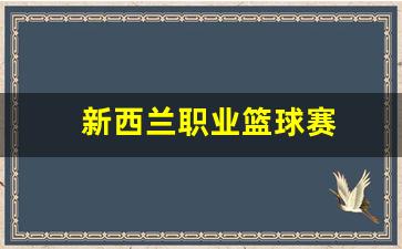 新西兰职业篮球赛-新西兰篮球联赛冠军