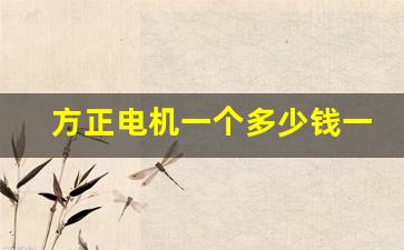 方正电机一个多少钱一台(方正电机做什么的)_https://www.wanyuyiyao.com_北交所_第1张