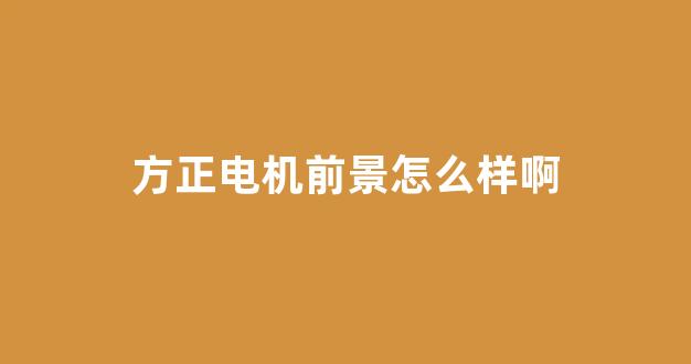 方正电机前景怎么样啊(方正电机前景怎么样啊)_https://www.luoxuangg888.com_创业板_第1张
