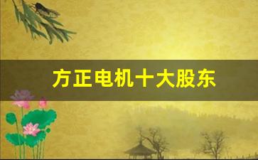方正电机十大股东(方正电机股权结构)_https://www.shshucaipeisong.com_创业板_第1张