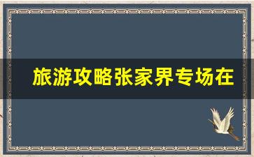 张家界哪个门票站进去好-旅游攻略张家界专场在哪里最好