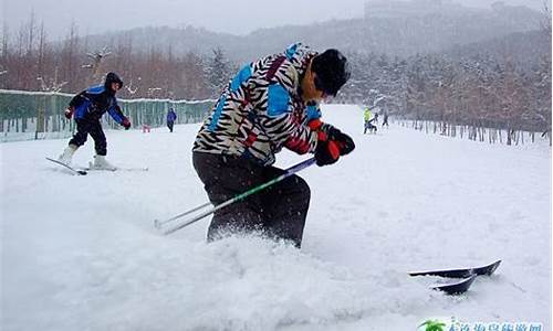 旅游滑雪大连劳动公园_旅游滑雪大连劳动公园攻略