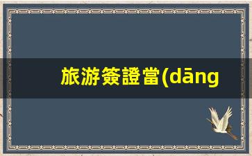 旅游簽證當(dāng)工作簽證(旅游簽證當(dāng)工作簽證好嗎)