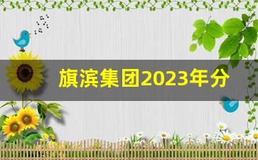 旗滨集团2023年分红(旗滨集团2023年分红情况如何)_https://www.heiljjianzu.com_上交所_第1张