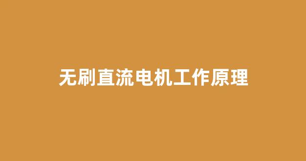 无刷直流电机工作原理(无刷直流电机工作原理简述)_https://www.hn-life.com_深交所_第1张