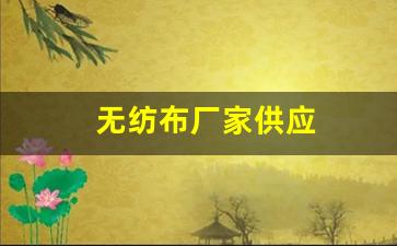 无纺布厂家供应(无纺布厂家供应苏州)_https://www.hangfeite.com_北交所_第1张
