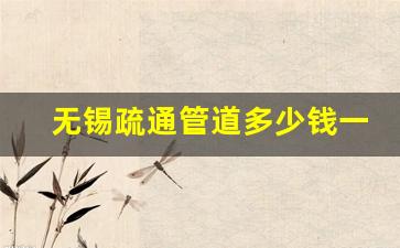 无锡疏通管道多少钱一次