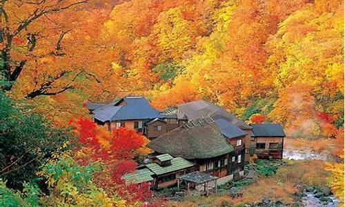 日本黑田是什么公司,日本景点黑田